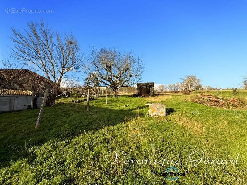 Maison en pierre de 150 M²  avec travaux à SAINT VIVIEN DE MONSEGUR - photo 6