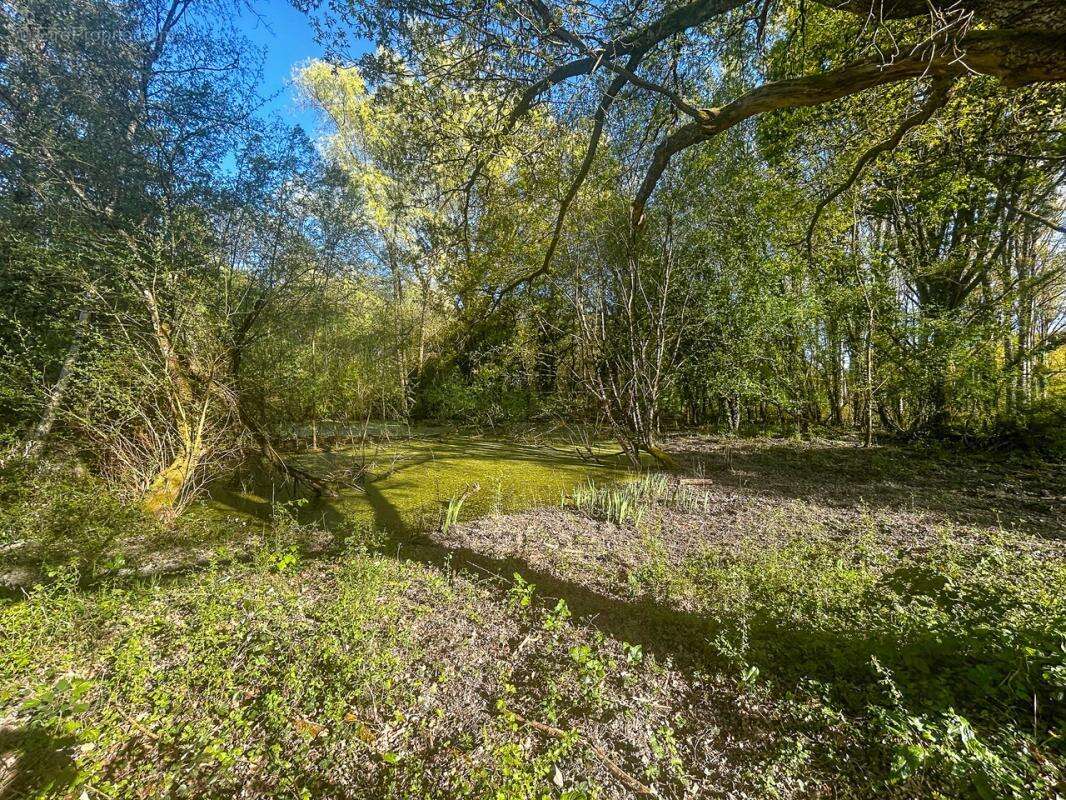 Terrain à VILLEFRANCHE-SUR-CHER