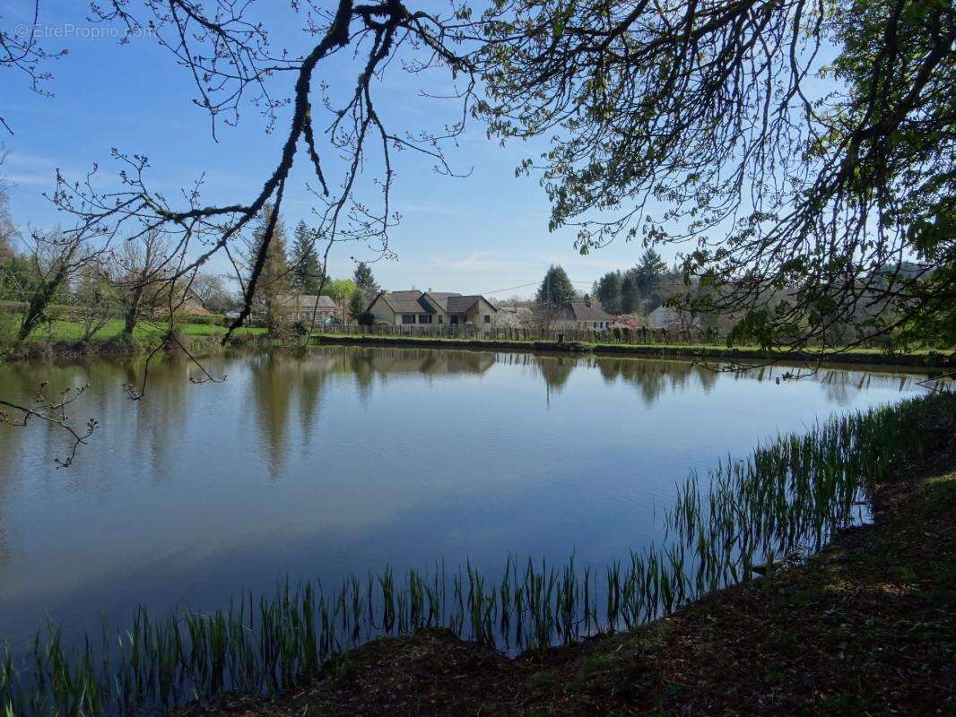 Secteur saint hilaire les places proche de nexon en haute vienne magnifique manoir du 17eme de 280 m² habitables sur 17862 m² de - photo 44