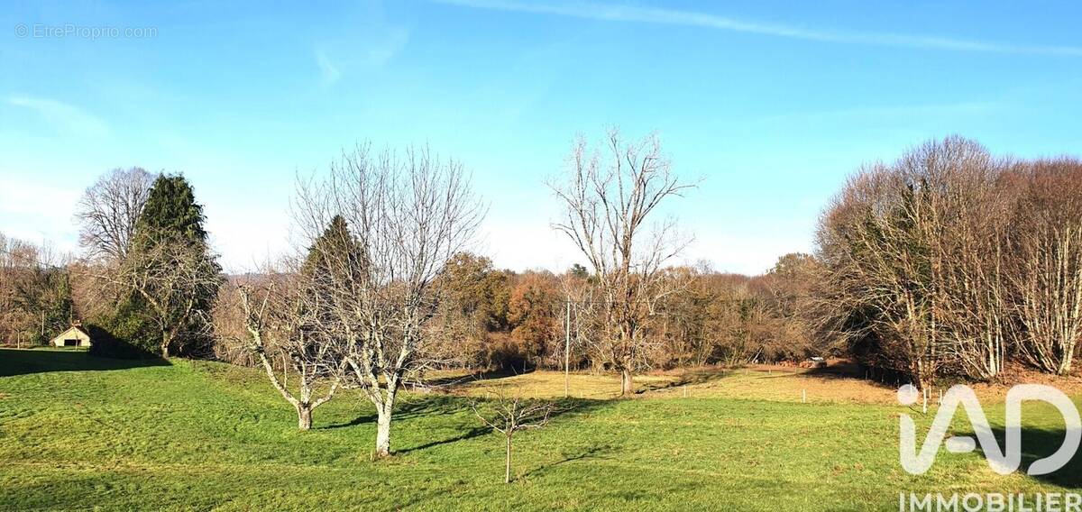 Photo 1 - Terrain à ALBUSSAC