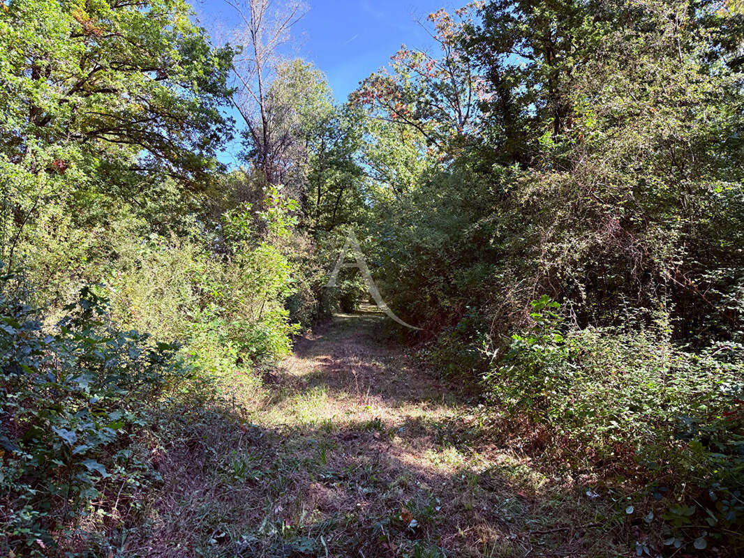 Terrain à LA FERTE-SAINT-AUBIN