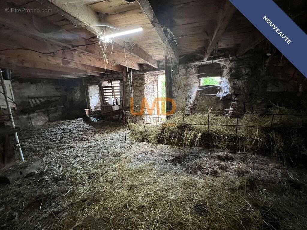 Maison à LA SOUCHE