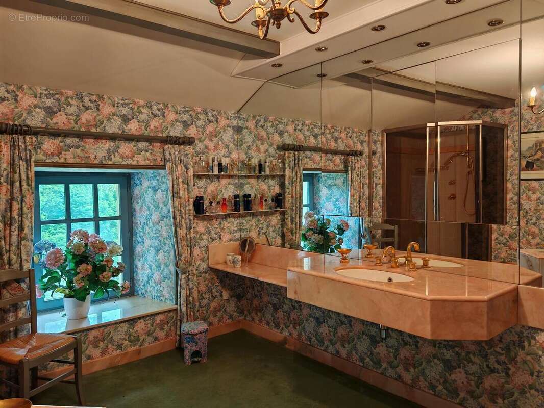 IMG20250507161755 - Maison à PIEGUT-PLUVIERS