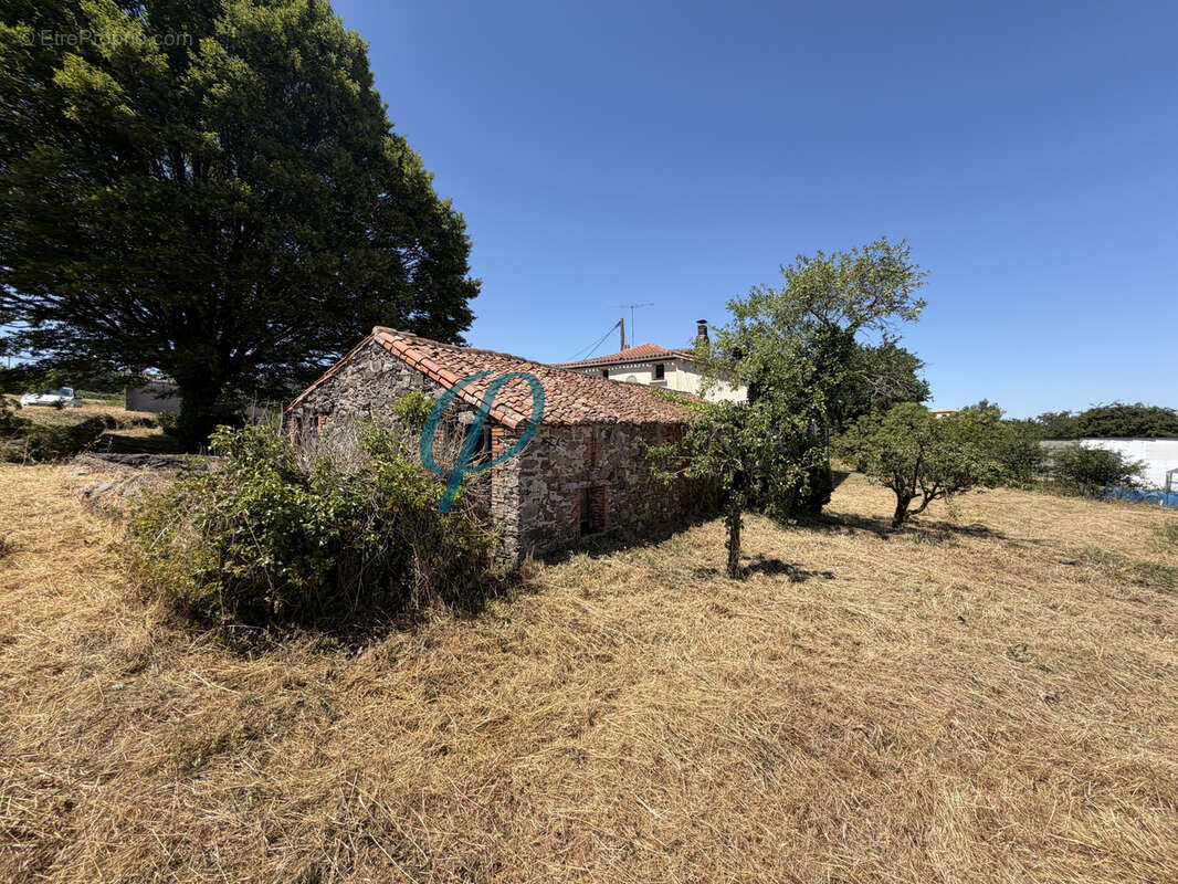Maison à MONTREVAULT