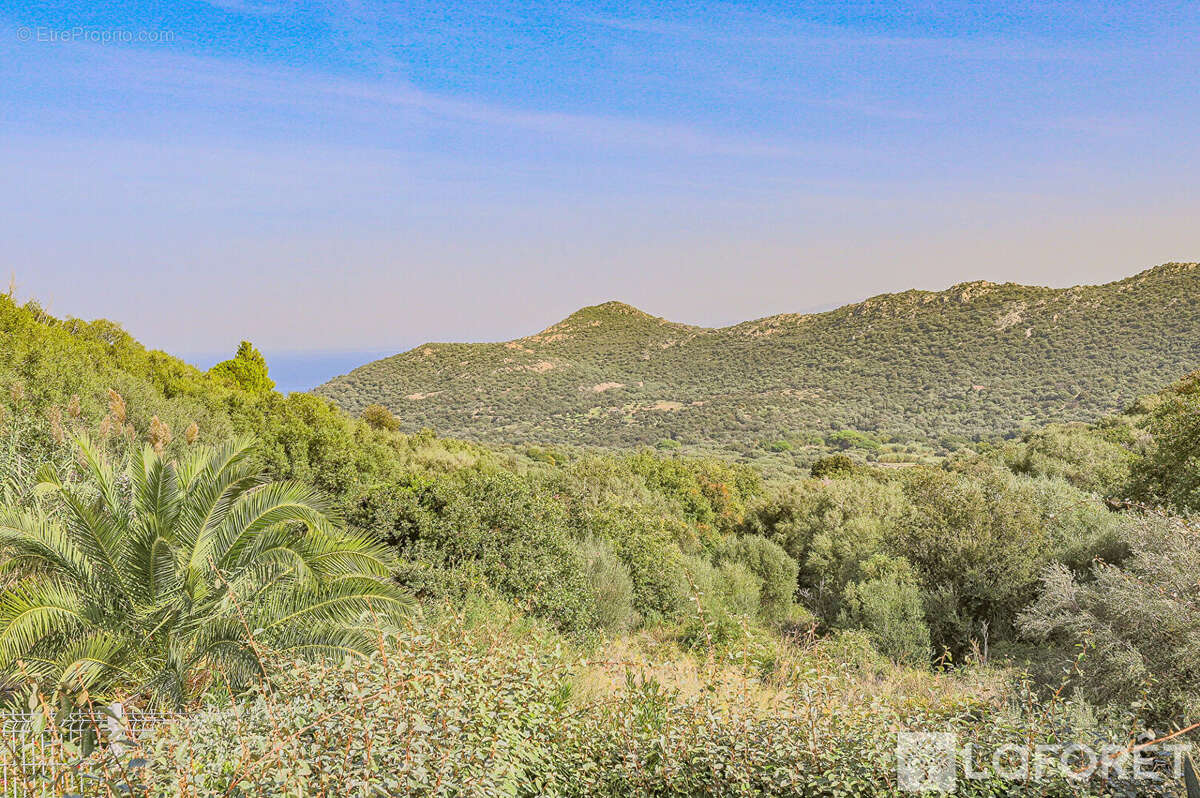 Appartement à MONTICELLO