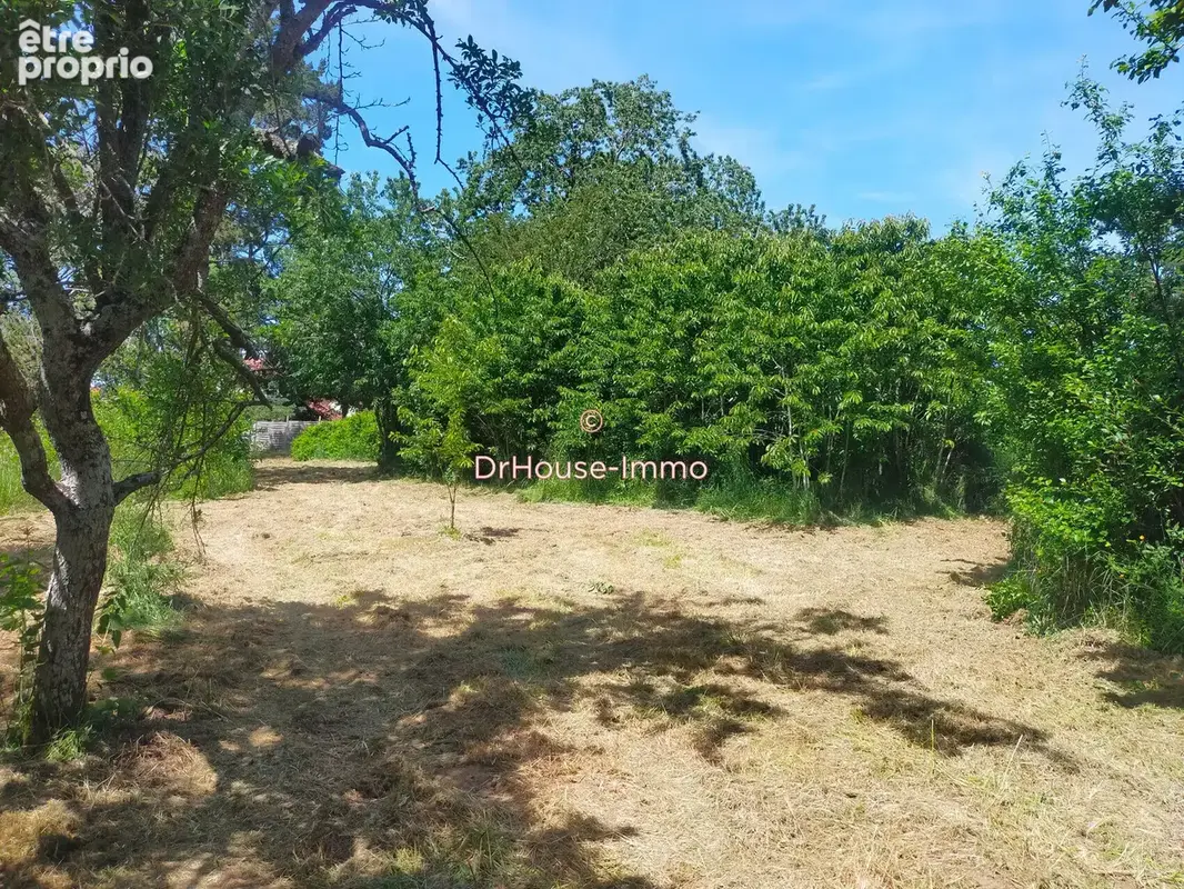 Terrain 2 600 m² à vendre à Chevannes (89240) - photo 2