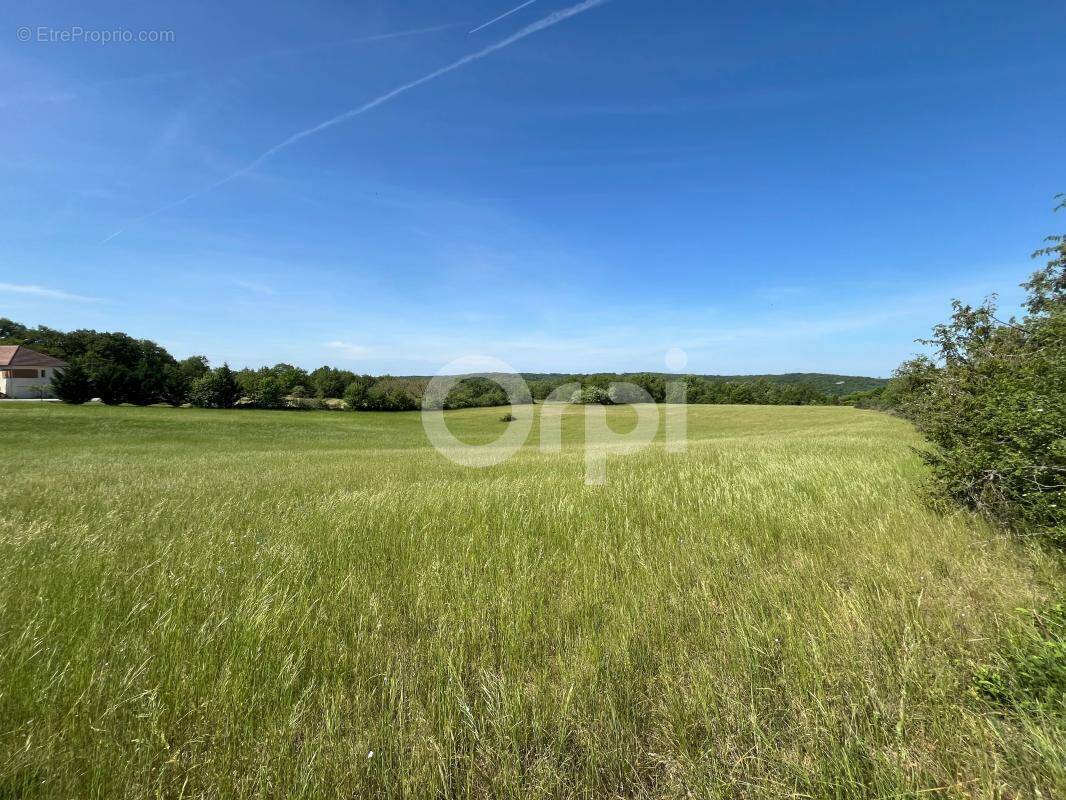 Terrain à CHASTEAUX