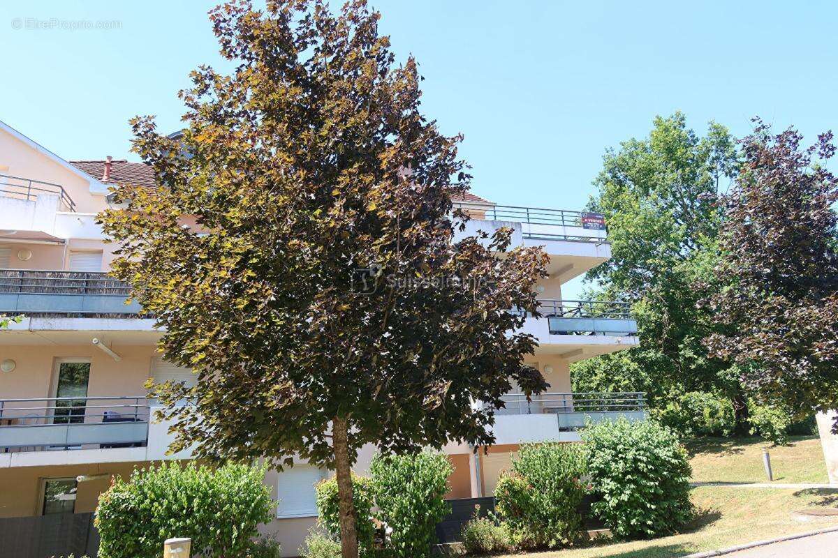 Appartement Miserey Salines 3 pièce(s) 69 m2 - photo 3