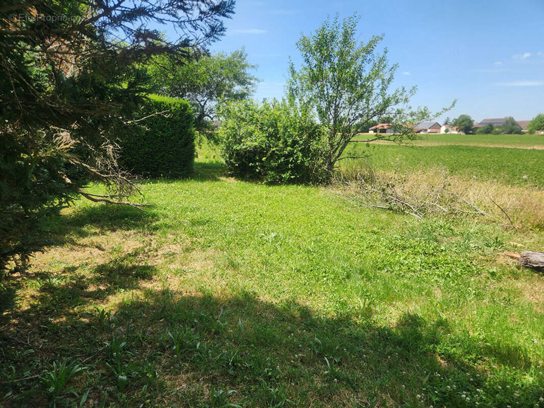 Terrain à SAINT-AUBIN
