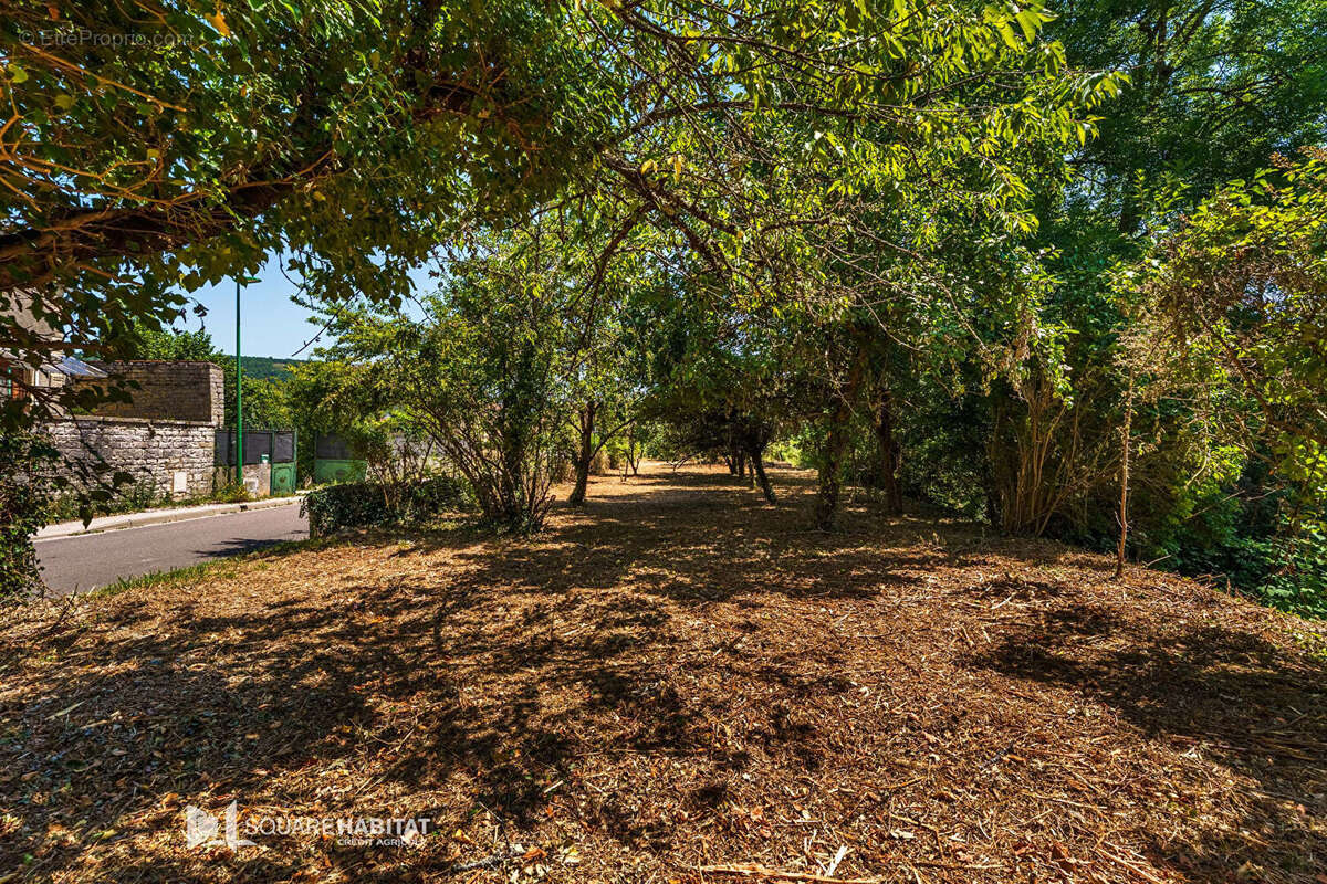 Terrain à NUITS-SAINT-GEORGES