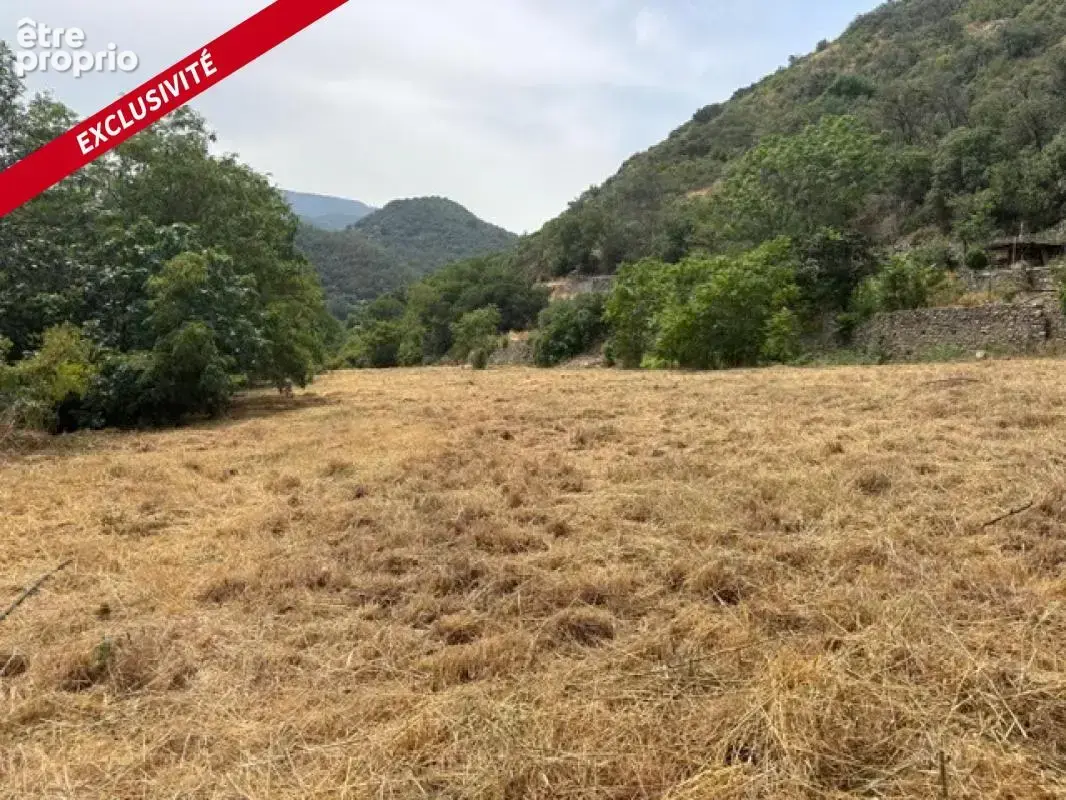 Terrain agricole 4495 m2 Prades - photo 5