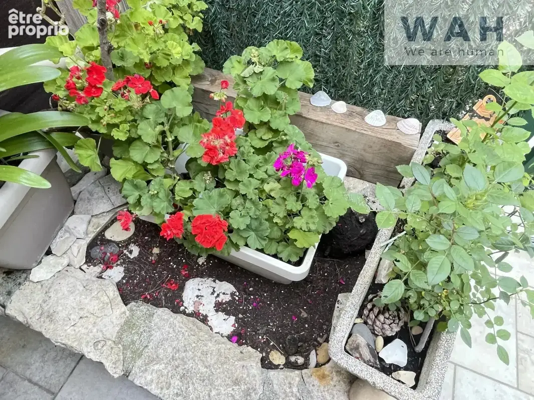 Maison t3 - 2 chambres, terrasse, place de parking, climatis - photo 11