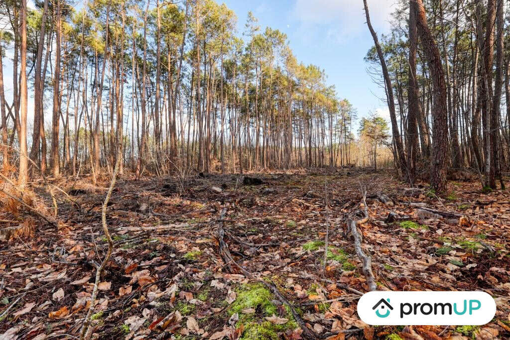 Terrain à VILLEFRANCHE-SUR-CHER