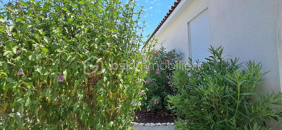 Maison coup de cœur, 4 chambres, piscine, Aucun travaux à prévoir ! - photo 13