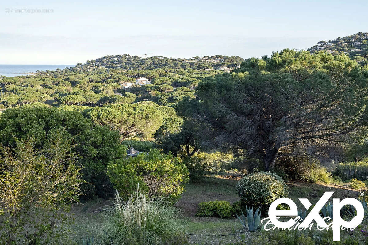 Terrain à SAINTE-MAXIME