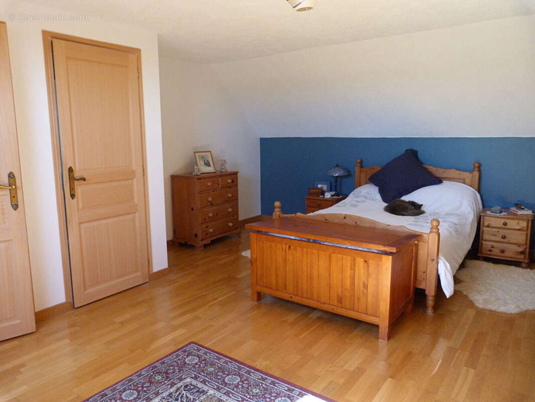 Maison à POUANCE