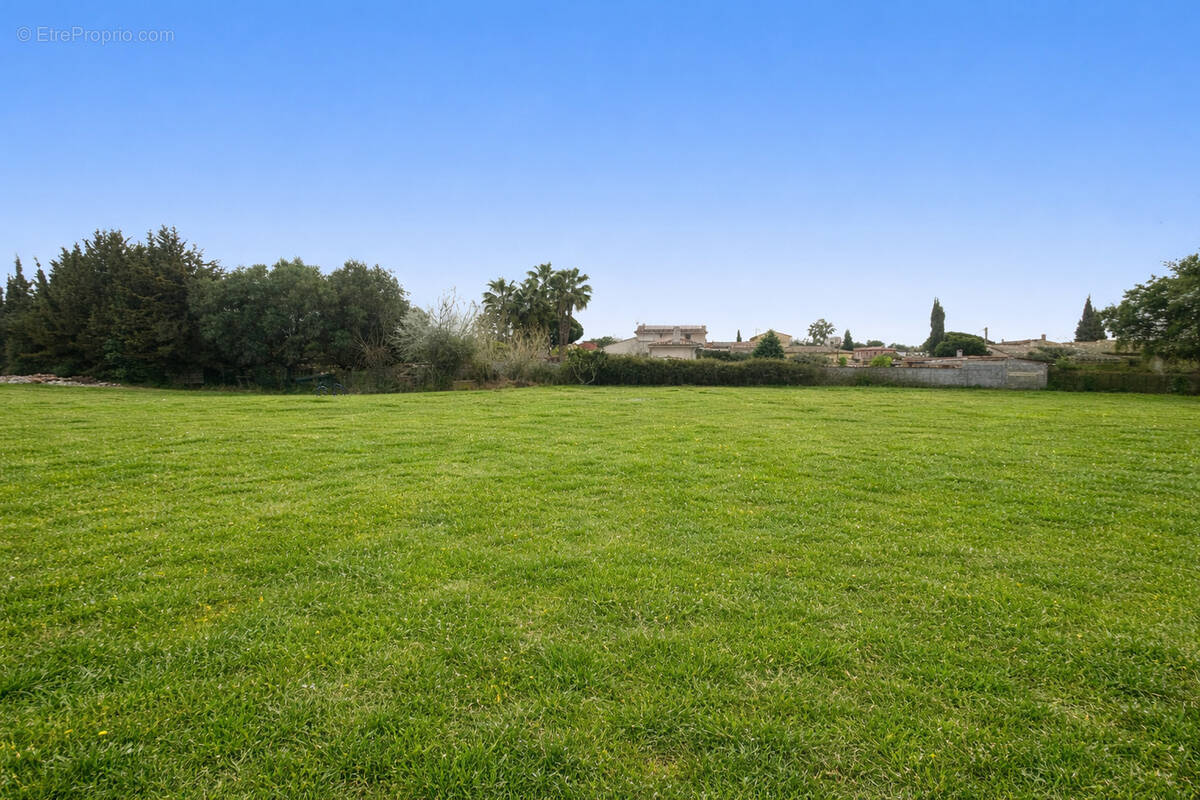 Terrain à PUGET-SUR-ARGENS