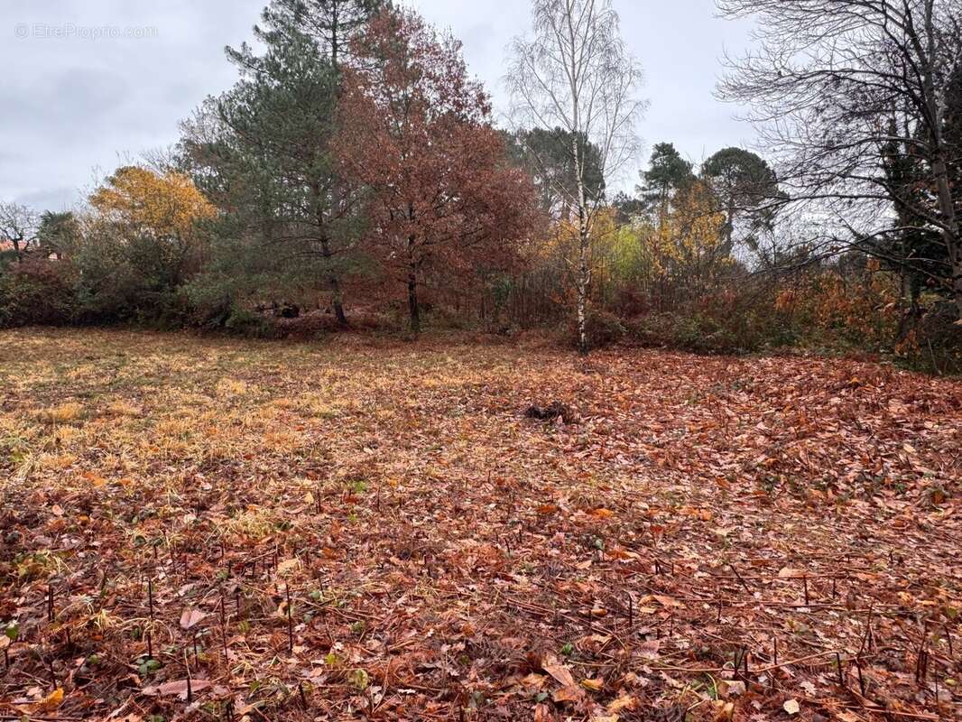 Terrain à CHANCELADE