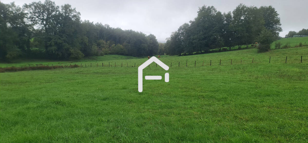 Terrain à ALLASSAC