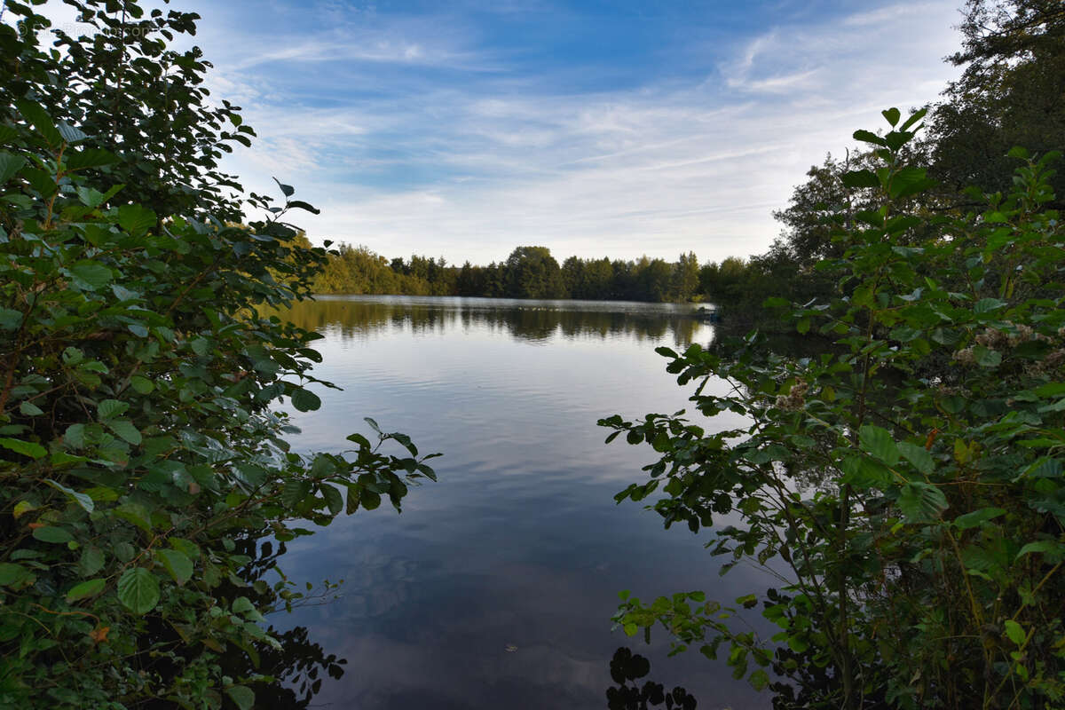 Terrain à FONTAINE-SUR-SOMME