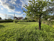 Terrain à MERCEUIL