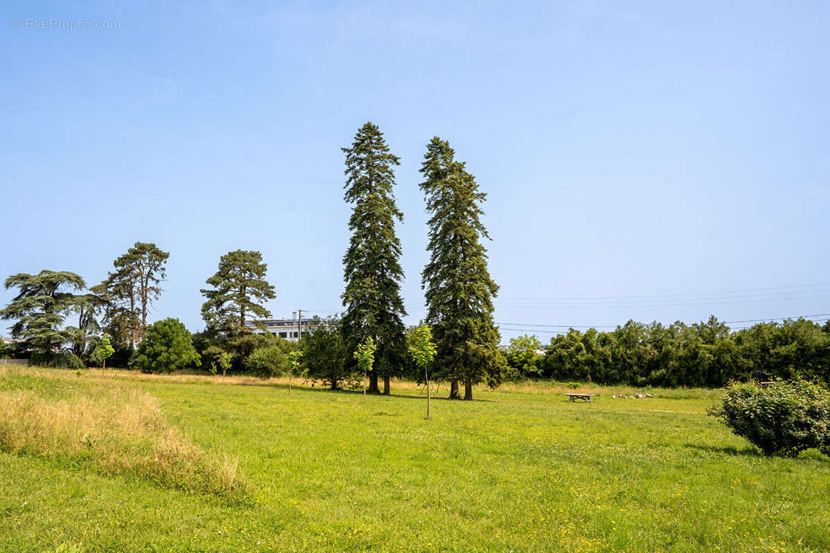 Appartement à SAINT-GERMAIN-AU-MONT-D&#039;OR