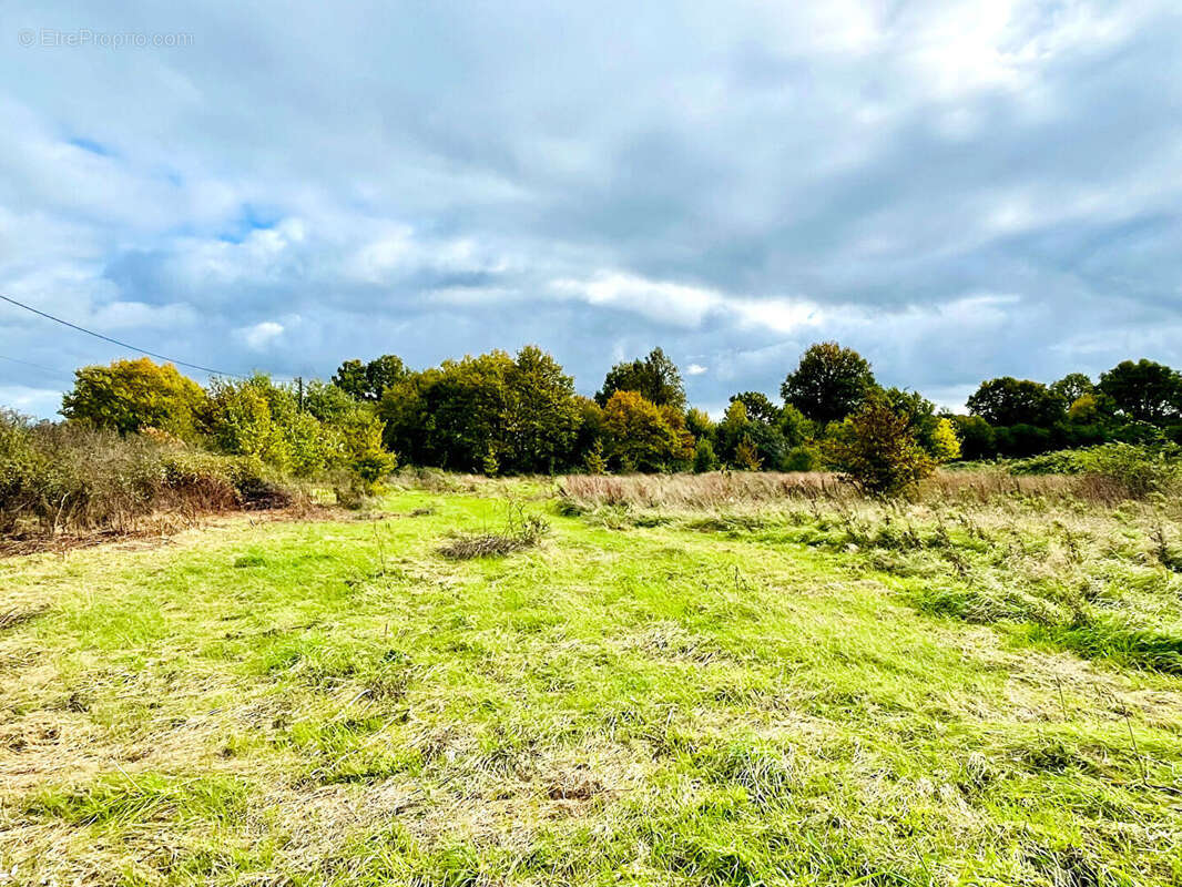 Maison à LAVAUSSEAU