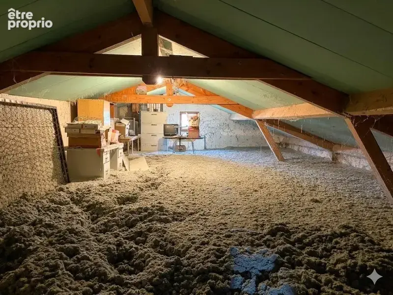  Maison à vendre à Manglieu – 162 m² habitables avec granges, 5 chambres, terrain et vue dégagée sur la nature - photo 19