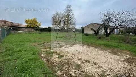 Terrain 1180 m² à Montauban  - photo 3