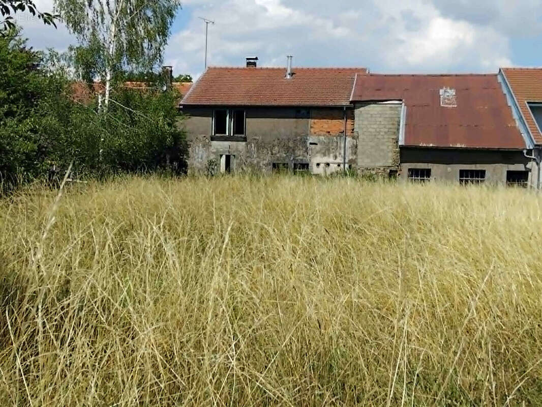 Maison à rénover à Parnoy en Bassigny - 3 pièces, 91 m² sur 1090 m² de terrain - photo 2
