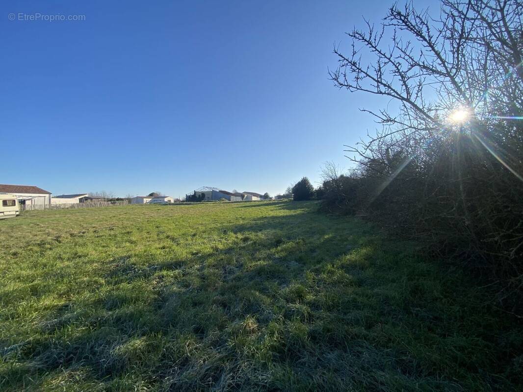 Terrain à COURCON