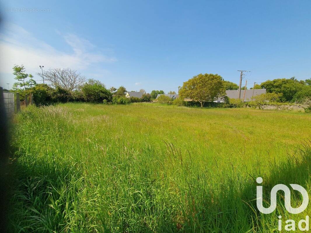 Photo 1 - Terrain à LINGREVILLE