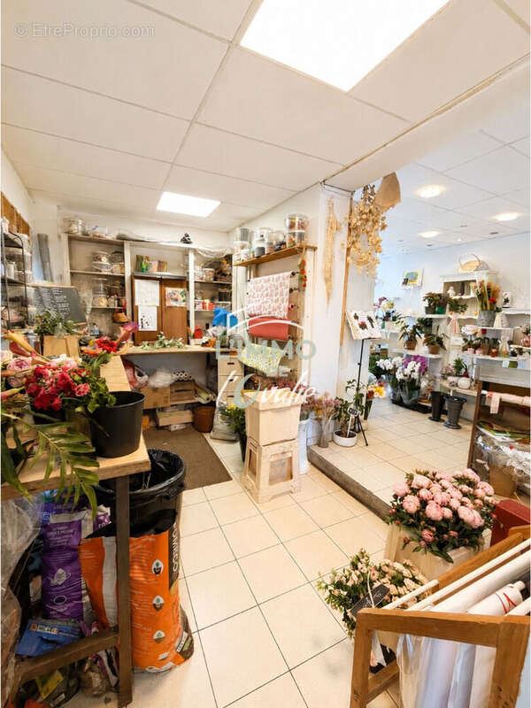 Local commercial 73m2 Fenouillet- Emplacement Ideal - photo 5