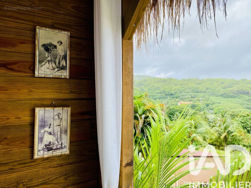 Photo 1 - Appartement à SAINTE-ANNE