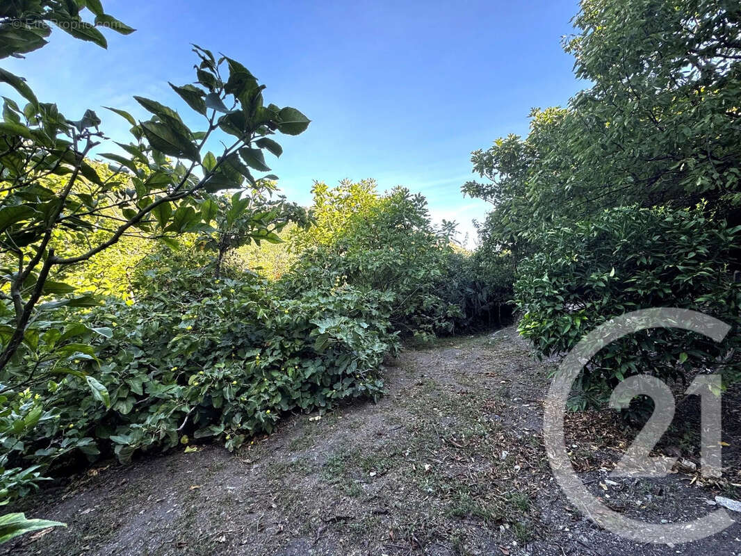 Maison à SAN-NICOLAO