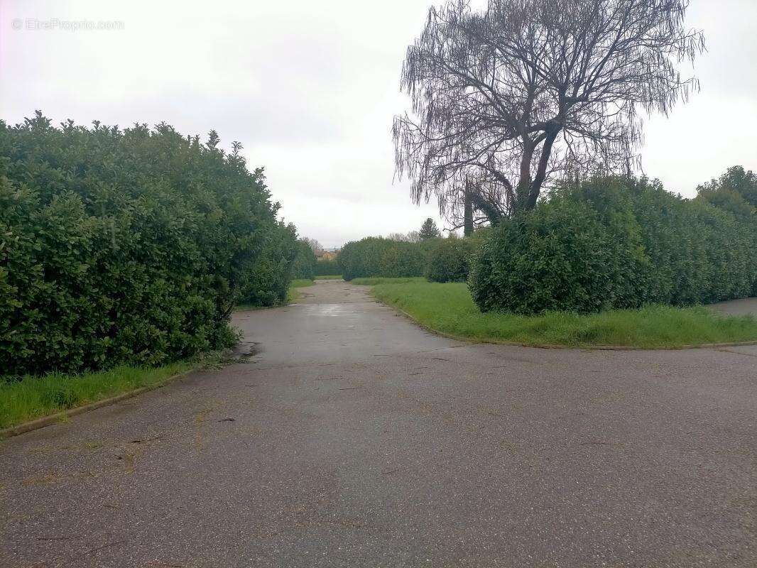 Terrain à LORIOL-SUR-DROME