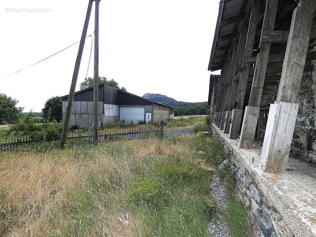 (1460 m²) Ancienne ferme avec vue sur le Mont Gerbier de Jonc  - photo 6