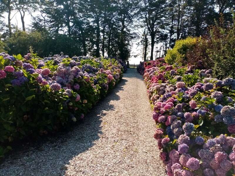 Maison à CANY-BARVILLE