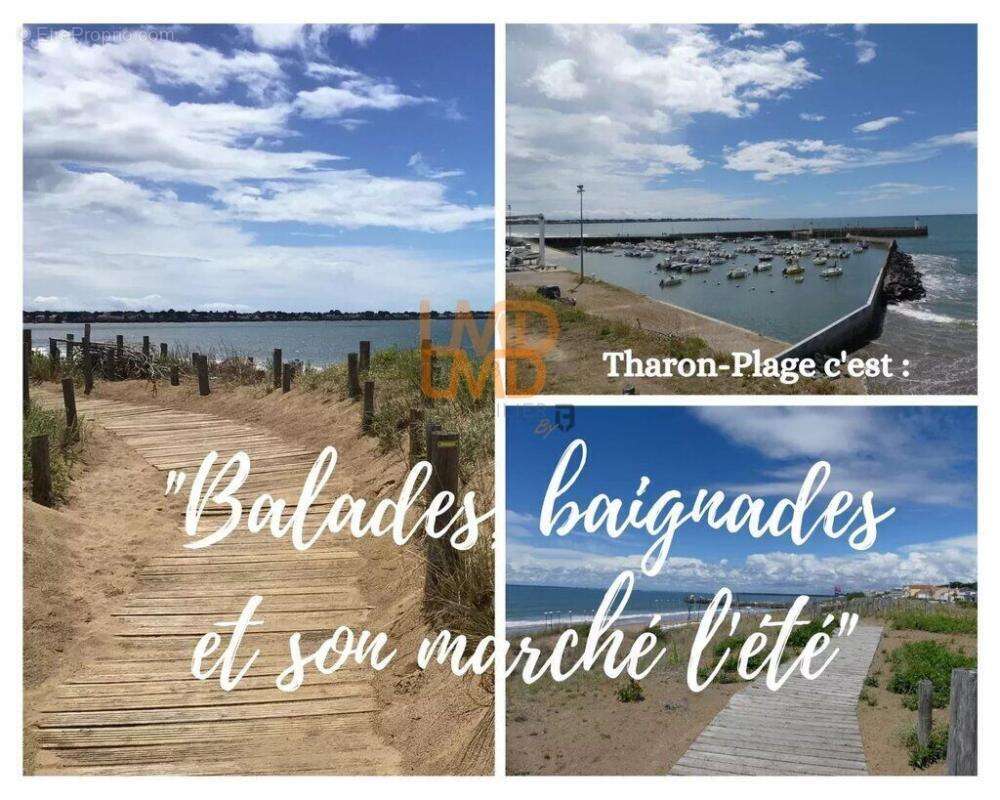 Terrain à SAINT-MICHEL-CHEF-CHEF