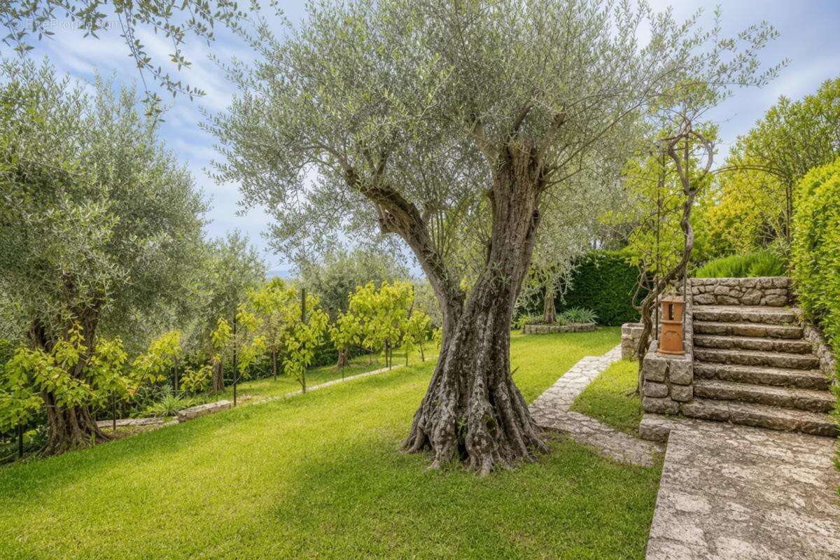 Villa avec piscine, vue sur collines, mer et lac + maison d'amis - photo 26