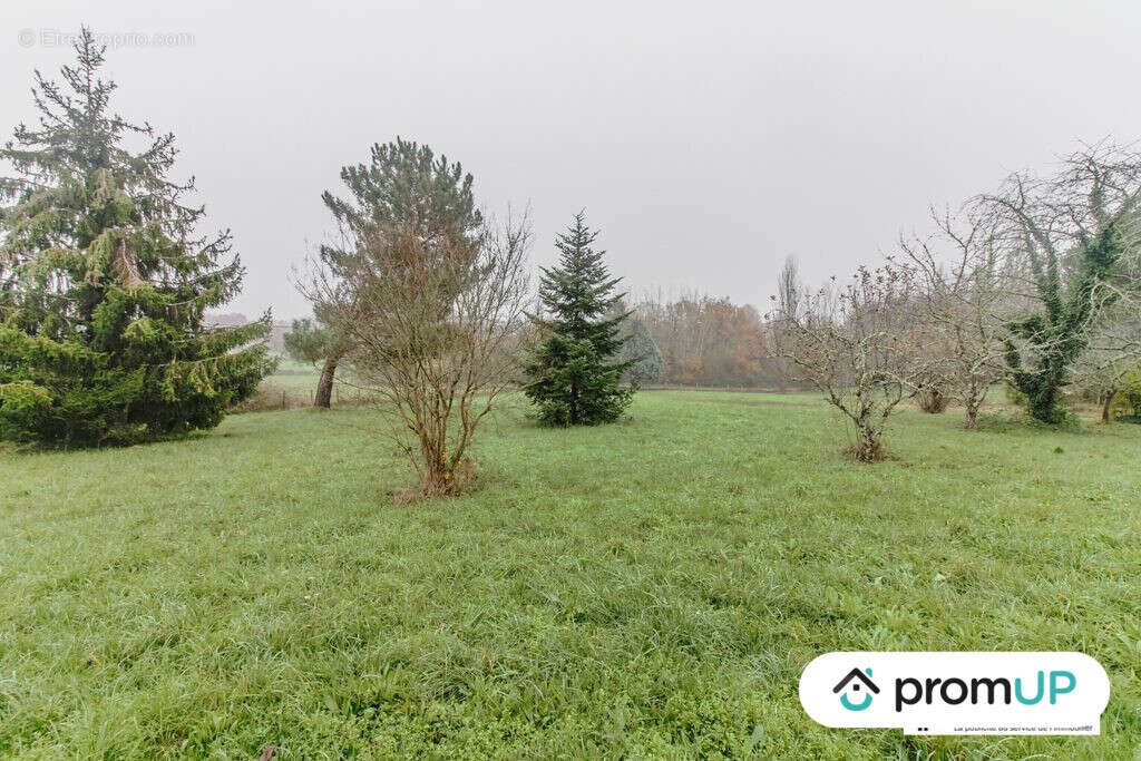 Terrain à SAINT-AULAYE