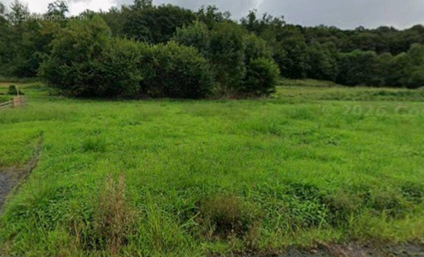 Terrain à TROIS-VILLES