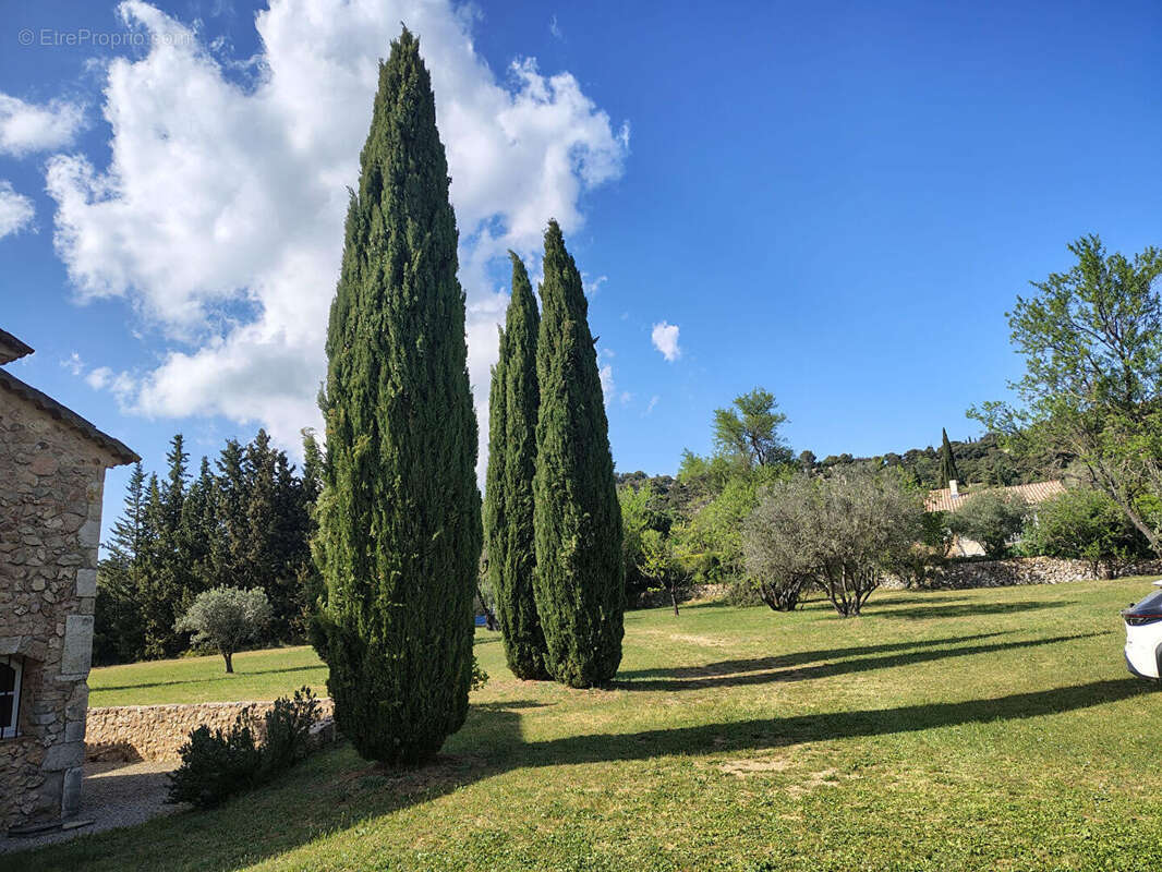 MOISSAC BELLEVUE, superbe mas renové sur 9530 m2 de terrain. - photo 10