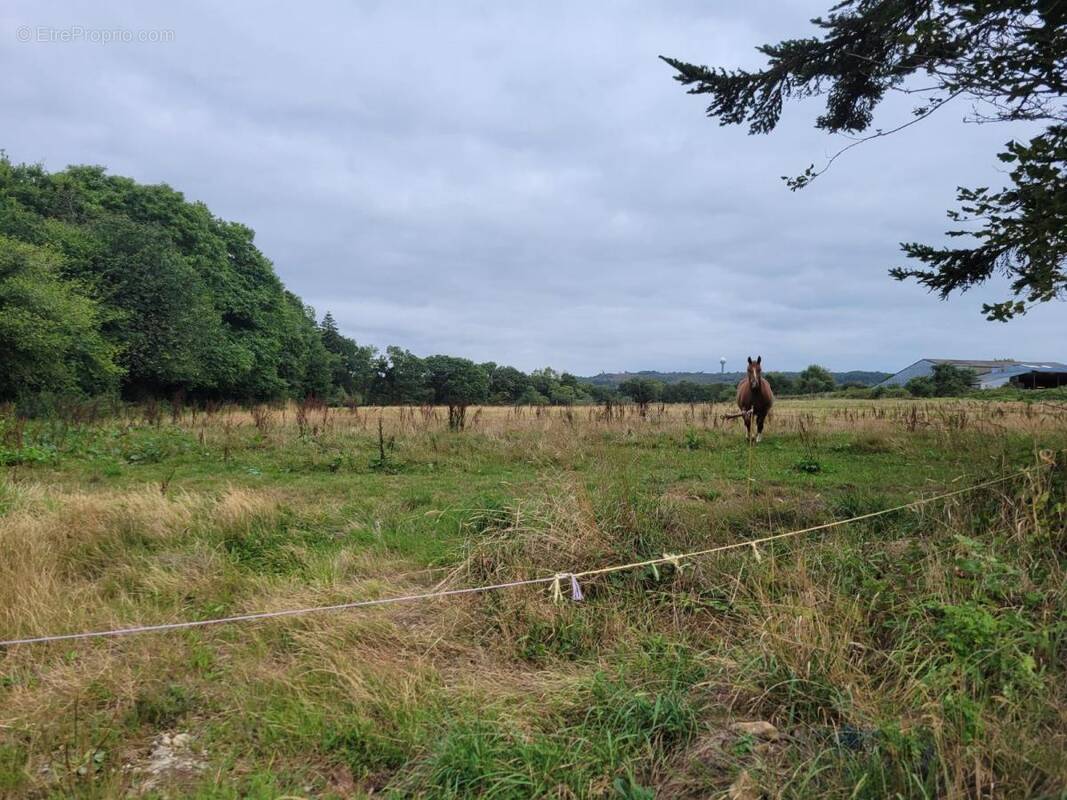 Terrain à ROUDOUALLEC