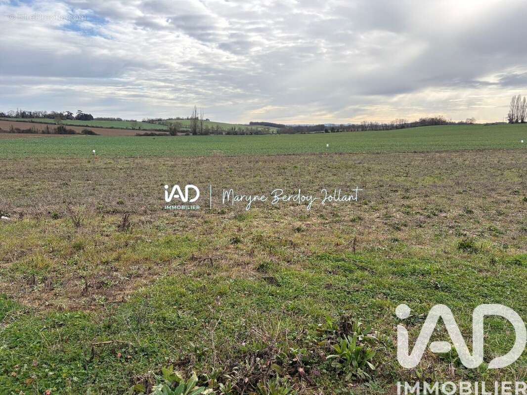 Photo 2 - Terrain à SAINTE-RADEGONDE