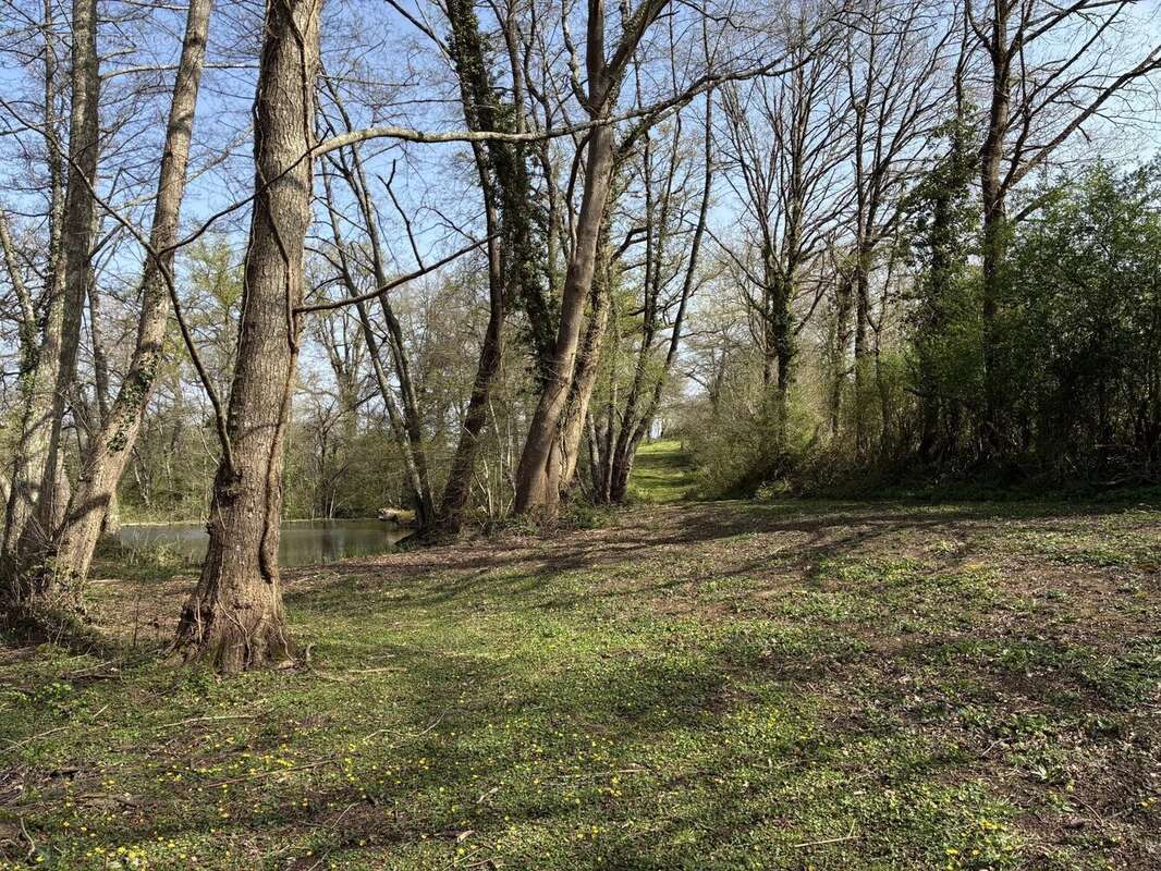 Maison à L&#039;ISLE-JOURDAIN