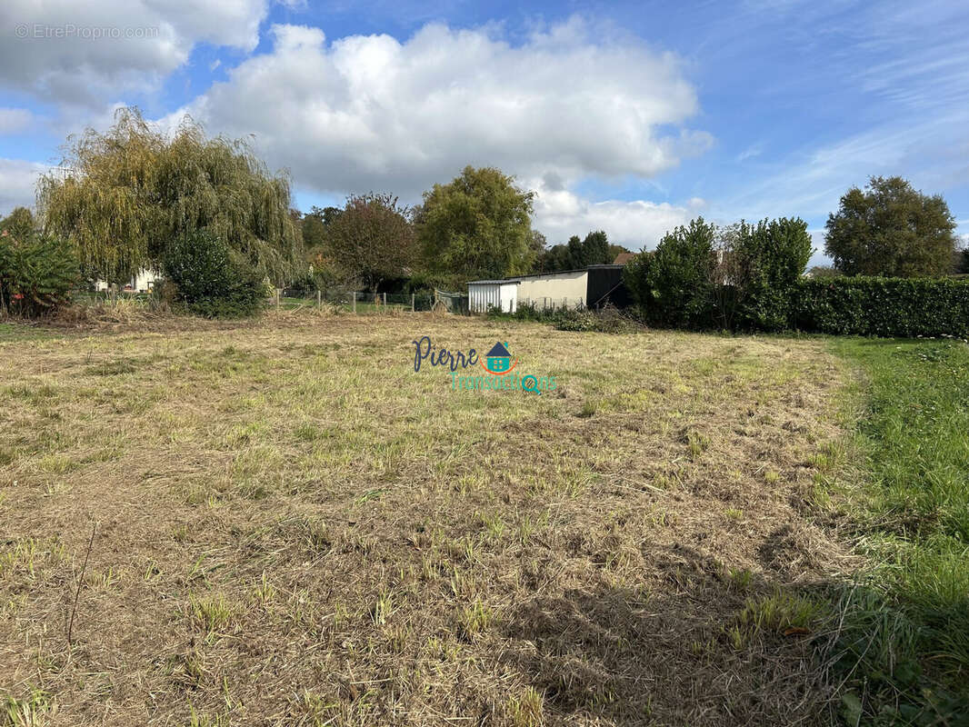 Terrain à SAINT-NICOLAS-DE-LA-TAILLE