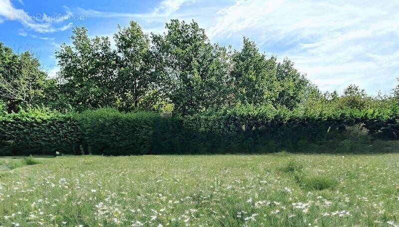 Terrain à SAINT-AUGUSTIN