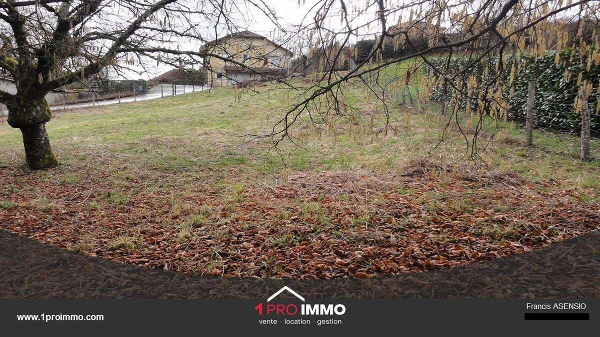 Terrain à COLOMBE