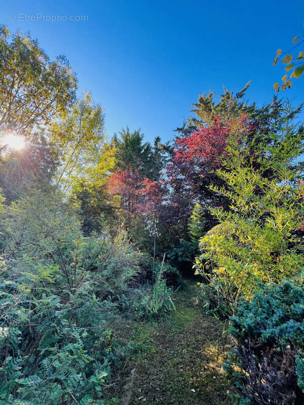 Maison à SAINT-SULPICE-DE-ROYAN